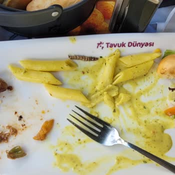 Tavuk Dünyası - Tırtıl Menü