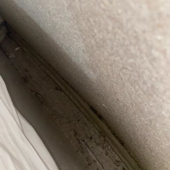 Kütahya Garden Otel Oda Temizliği Konusunda Eksiklikler