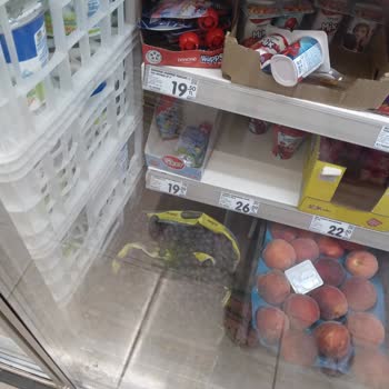 Şok Marketler Bursa Mudanya Hijyen Ve Hizmet Sorunları