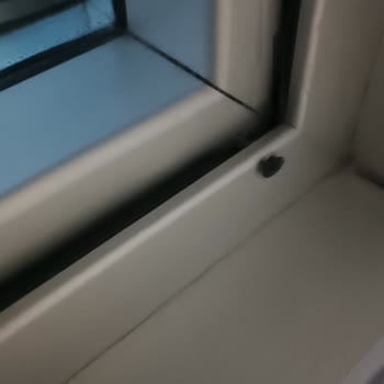 Özel Medar Hastaneleri Soğuk Oda (Doğum) Ünitesi!