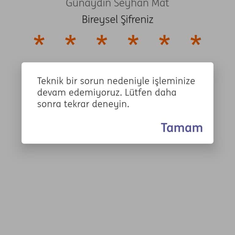 ING Mobil Girememe Sorunu