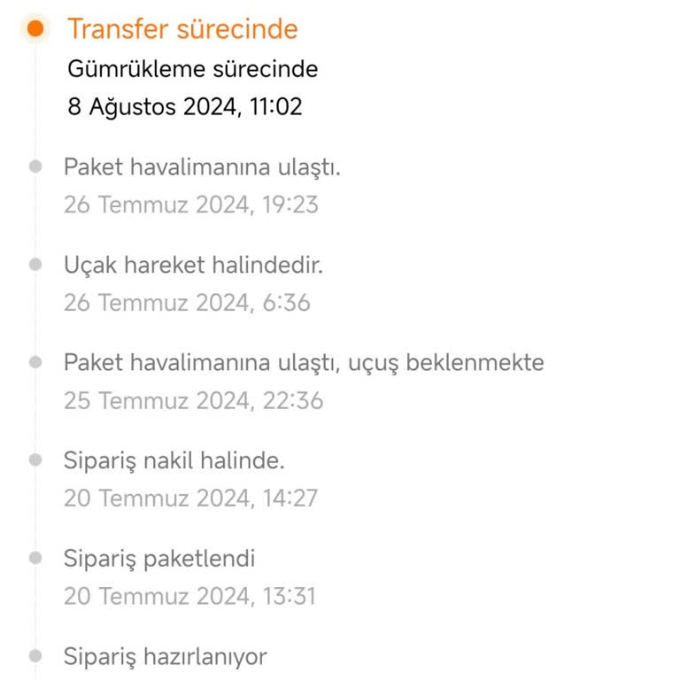 İstanbul Gümrük Müdürlüğü Temu Sonrası Gümrük Süreci