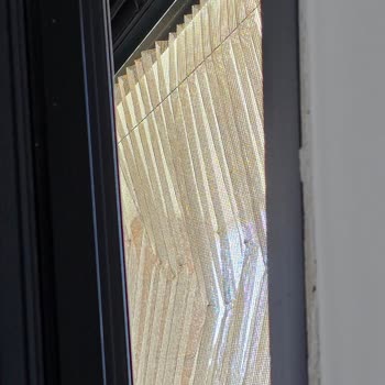 Bahçelievler Kocasinan Dünya Sineklik Şikayetçiyim