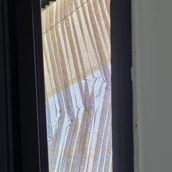 Bahçelievler Kocasinan Dünya Sineklik Şikayetçiyim