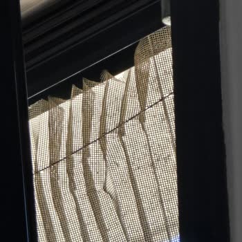 Bahçelievler Kocasinan Dünya Sineklik Şikayetçiyim