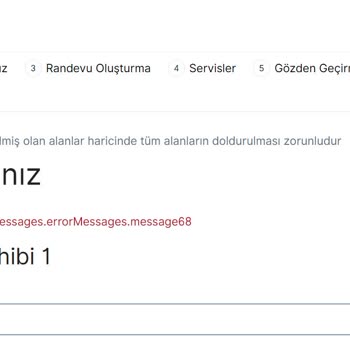 VFS Global Sistem Hatalarından Kaynaklı Vize Randevusu Alınamaması
