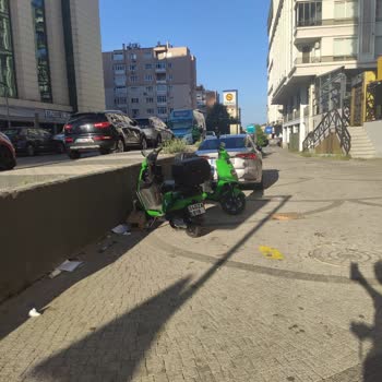 Martıların Uygunsuz Yerlere Bırakılması