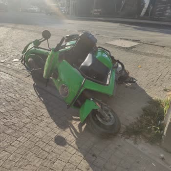 Martıların Uygunsuz Yerlere Bırakılması