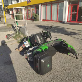 Martıların Uygunsuz Yerlere Bırakılması