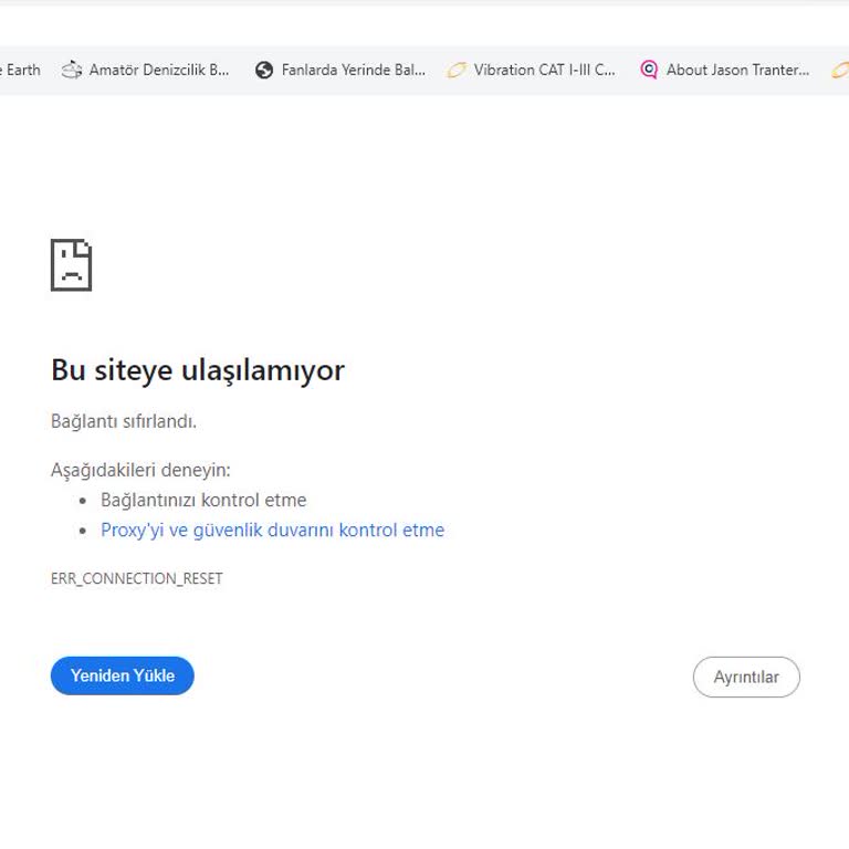 BTCTURK Web Sayfası Problemi