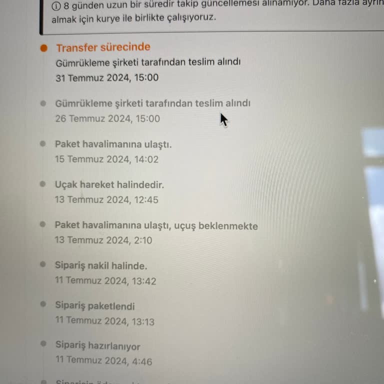 Temu Siparişleri, Gümrükte Bekletiliyor.