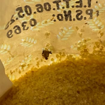 City Gross Katmer İrmik Böcekli Çıktı