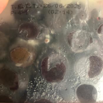 MarmaraBirlik Zeytinlerin Küflü Çıkması