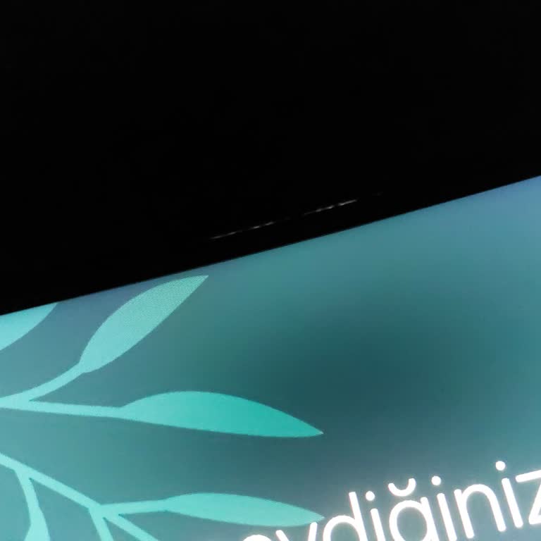 Samsung Odyssey G6 Ekran Kusuru.