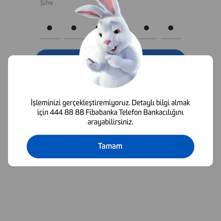 Fibabanka Hesabım Kısıtlandı. İçinde Param Kaldı