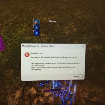 Runtime Errors and Crashes in Knight Online When Intel Graphics Card is Enabled