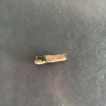 Tarihi Safranbolu Fırını Meze Zehirlenmesine Kayıtsızlık