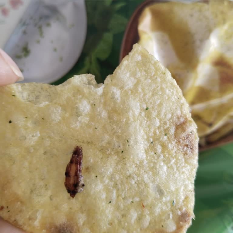 Lays Lay'simde Böcek Çıktı