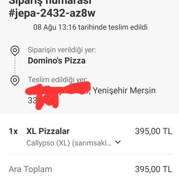 Domino's Pizza Günden Güne Kalitesinin Düşmesi. Konu:Yarı Pişmiş Pizza