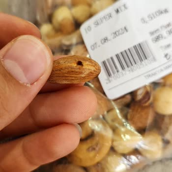 Türkiye Mahsul (Trakya Mahsul) Kurtlanmış Ve Böceklenmiş Kuruyemiş