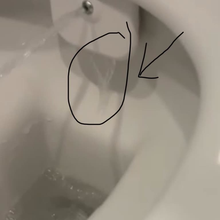 Vitra Klozete Çıkan Problem