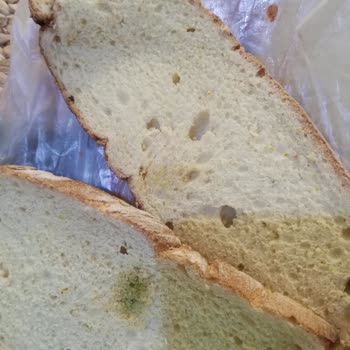 A101 Küflü Ekmek Satıyor