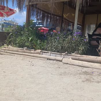 Asia Beach Resort Plaj Hizmetleri Ve Temizlik Sorunları