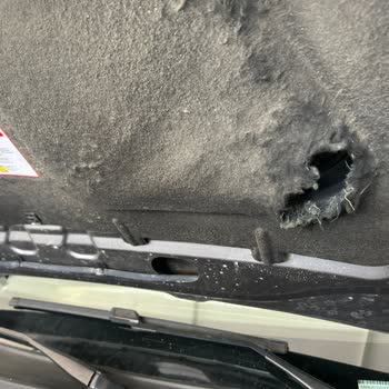 Fiat Doblo Kaput Keçesini Ben Yedim...