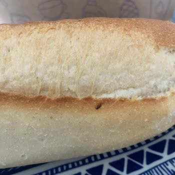 Getir Uygulamasından Gelen Ekmekte Böcek