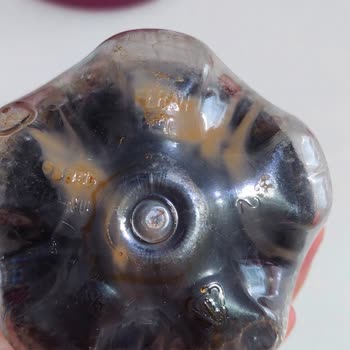 Meysu Kola Dibindeki Çamurumsu Tortular