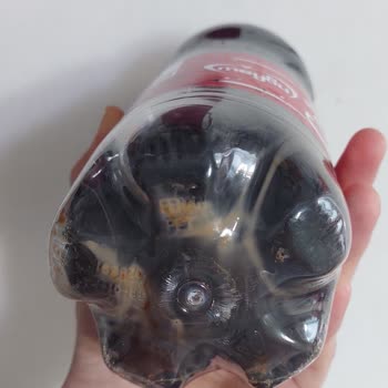 Meysu Kola Dibindeki Çamurumsu Tortular