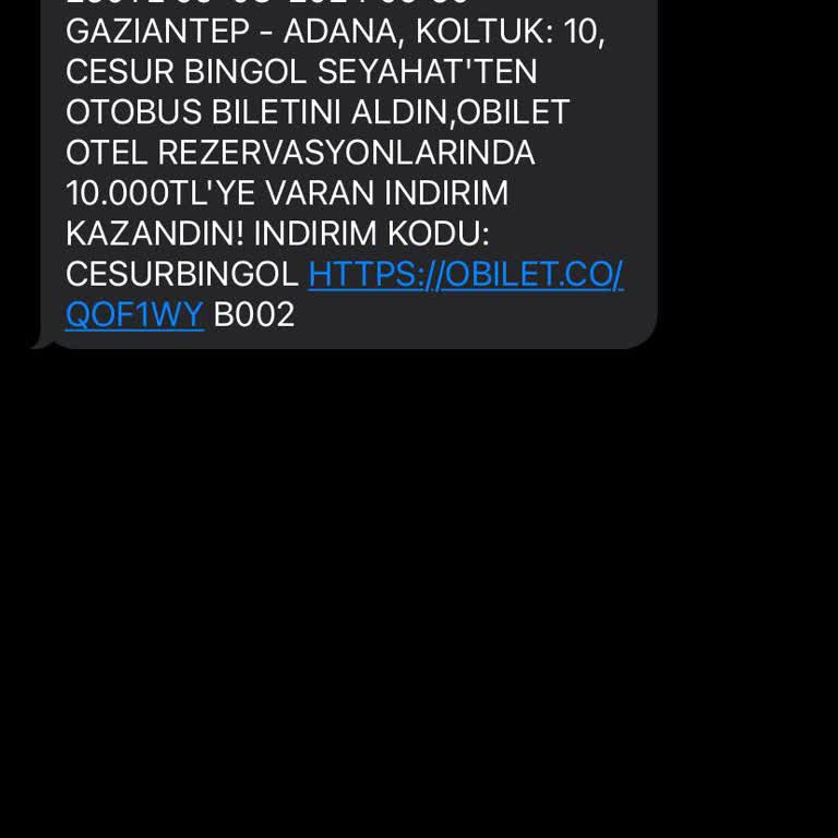 Cesur Bingöl Bilet Aldırıyor Alınan Bileti İle Yolcu Götürmüyorlar