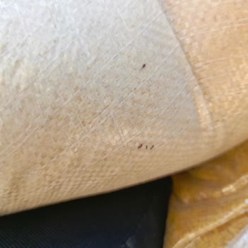 Akın Bulgur Kurtlanmış Ürün Satma