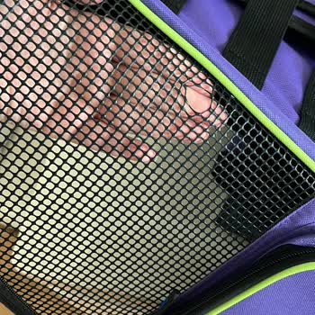 Brave Paws Kusurlu Ürün Gönderimi