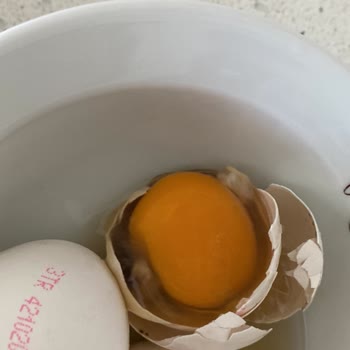 Özkuruşlar Zincir Marketi Küflü Yumurta