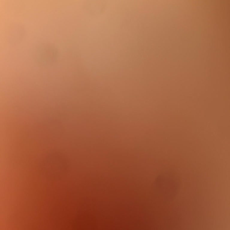 Anadolu Sigorta Ve Park Hayat Hastanesi