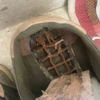 U. S Polo Assn Ürün Garanti Aldatmacası