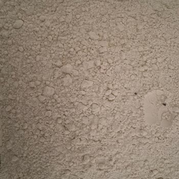 Migros Aldığımız Unun İçinden Böcek Çıktı!