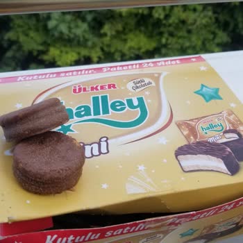 Ülker Halleyde Mantar Benzeri Oluşumlar Var, Sağlığımız Hiçe Sayılıyor