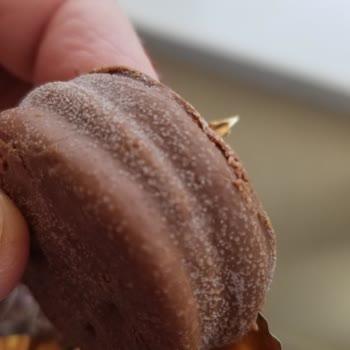 Ülker Halleyde Mantar Benzeri Oluşumlar Var, Sağlığımız Hiçe Sayılıyor