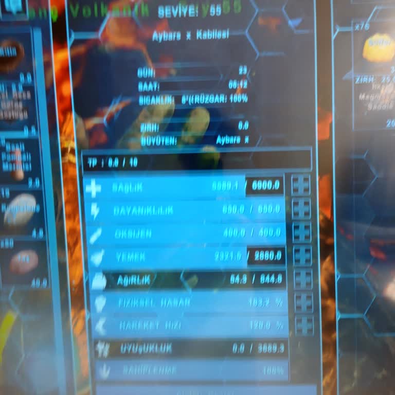 Studio Wildcard Kaydetme Sorunu Ark