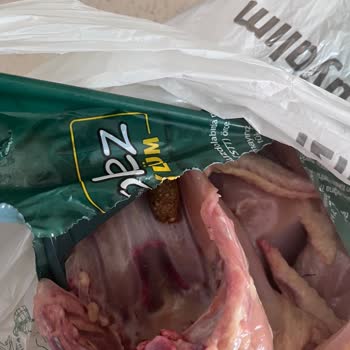 Bolez Piliç Bolez Dışkılı Tavuk