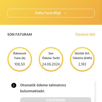 Enerjisa İstanbul Anadolu Yakası Elektrik Perakende Enerjisa Fatura Gelmedi