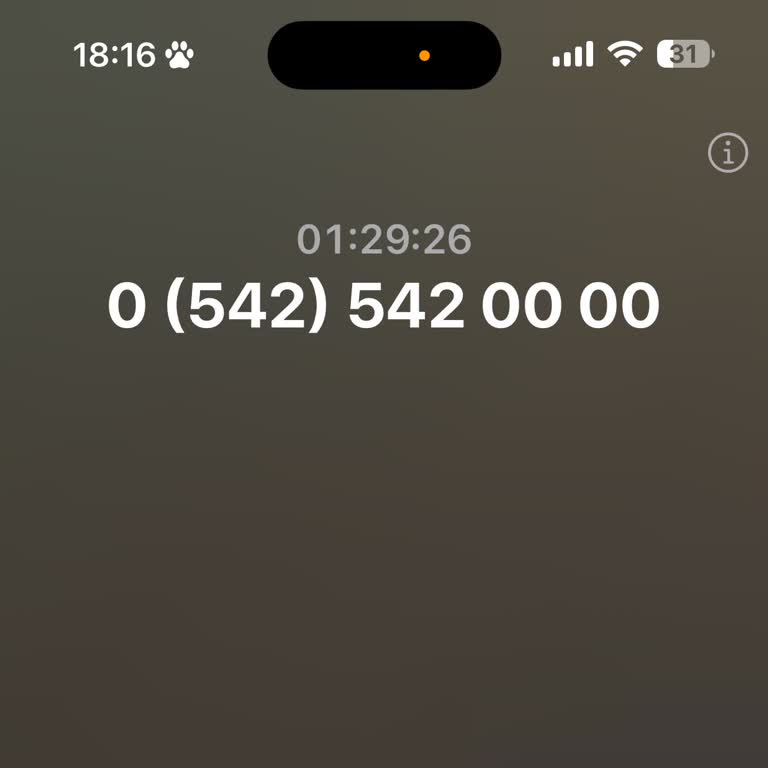 Vodafone Müşteri Hizmetlerine Ulaşamama Sorunu