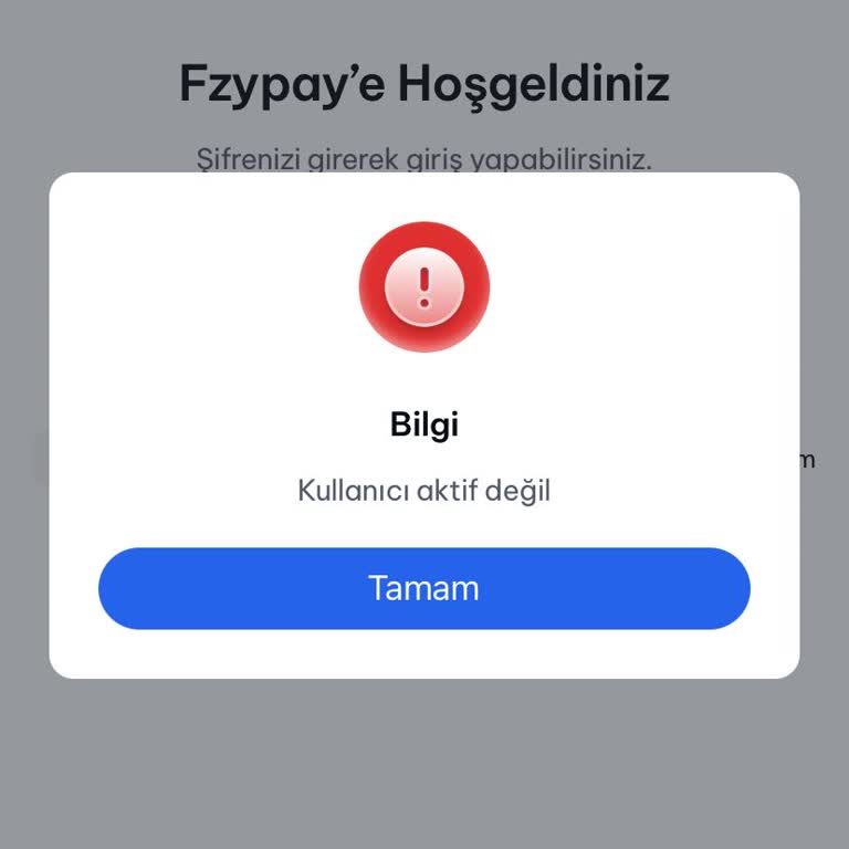 FzyPay Kullanıcı Aktif Değildir Hatası
