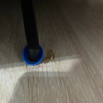 Enza Home Giorno L Koltuk