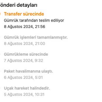 MNG Kargo Temu Kargolarımın, MNG İle Gönderilince Gümrükte Uzun Beklemesi