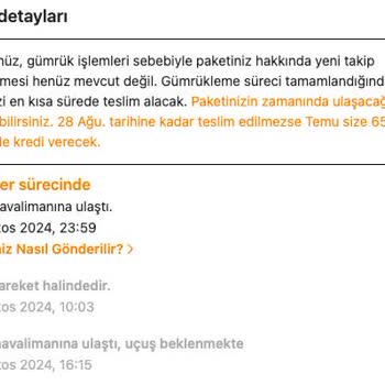 MNG Kargo Temu Kargolarımın, MNG İle Gönderilince Gümrükte Uzun Beklemesi