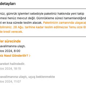 MNG Kargo Temu Kargolarımın, MNG İle Gönderilince Gümrükte Uzun Beklemesi
