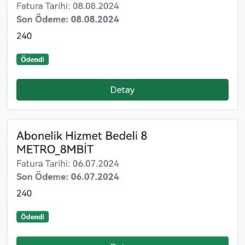 Feniks İnternetin Sürekli Kesilmesi